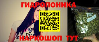 прущие крисы Абакан