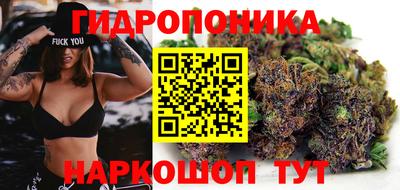 прущие крисы Абакан