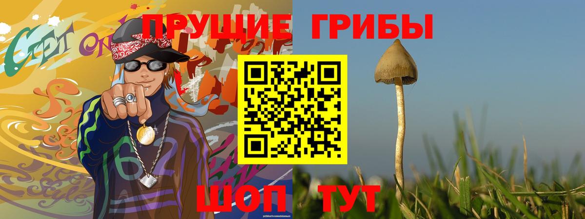 Галлюциногенные грибы GOLDEN TEACHER Нарьян-Мар